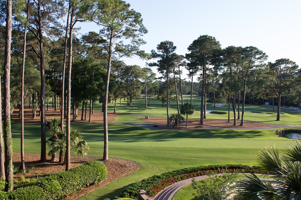 golf course, south carolina, fairway-1420945.jpg