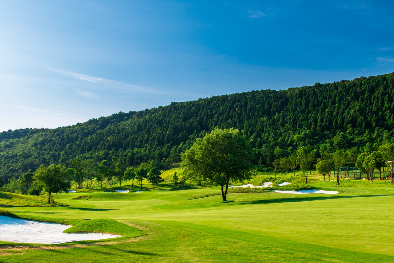 green, golf, blue sky-2480257.jpg